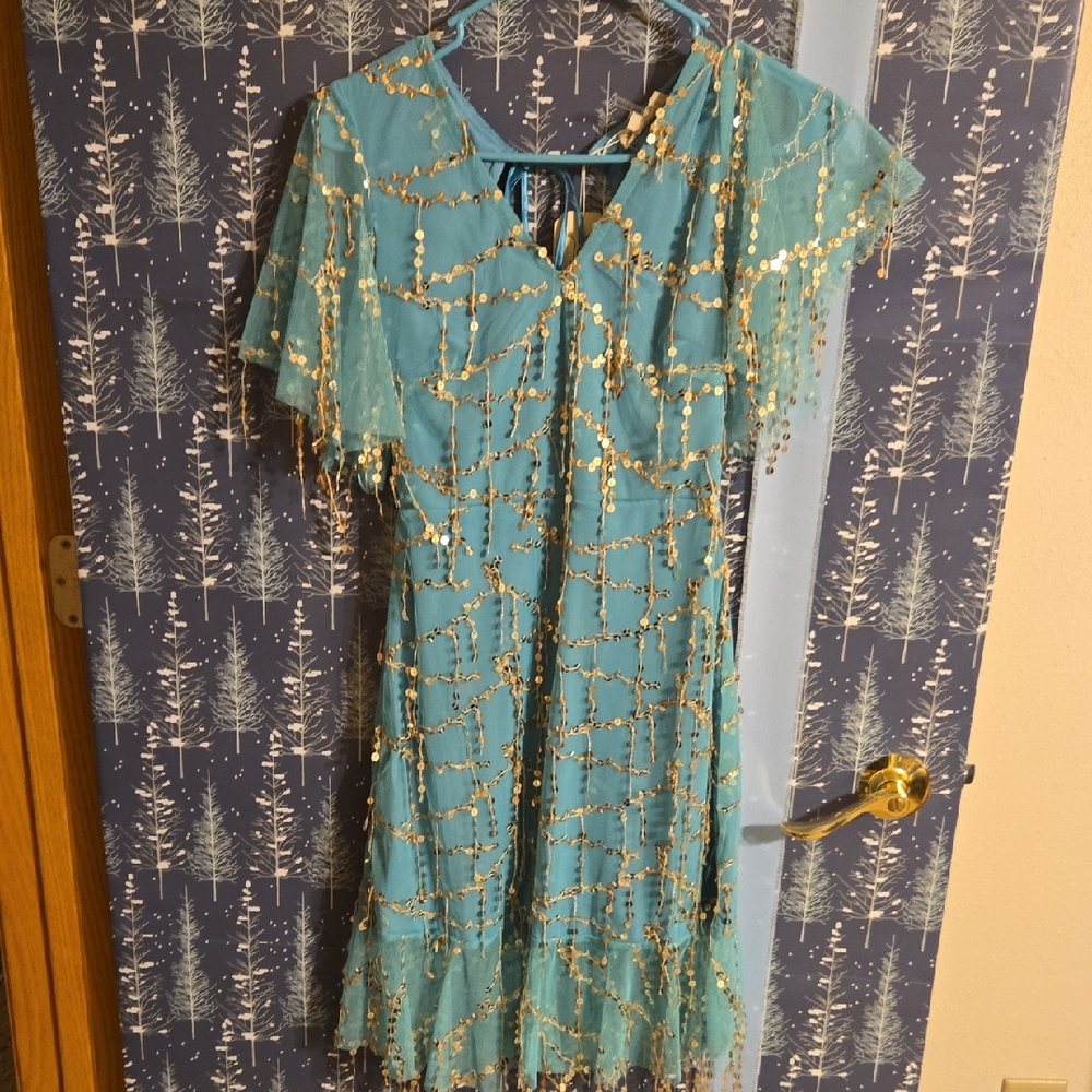 Southern Fried Chicks Teal Dress with Silver Sequin Design